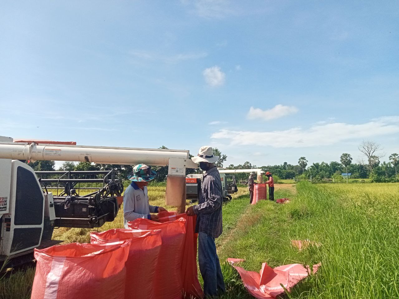 Nurturing a resilient, inclusive future for smallholders